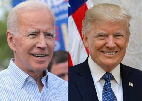Impact of the 2020 US Presidential Election: A Republican Perspective
