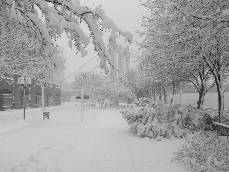Winter Storm Cancels Classes at University of Minnesota