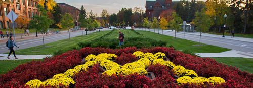 Study Tips for Finals at The University of Minnesota